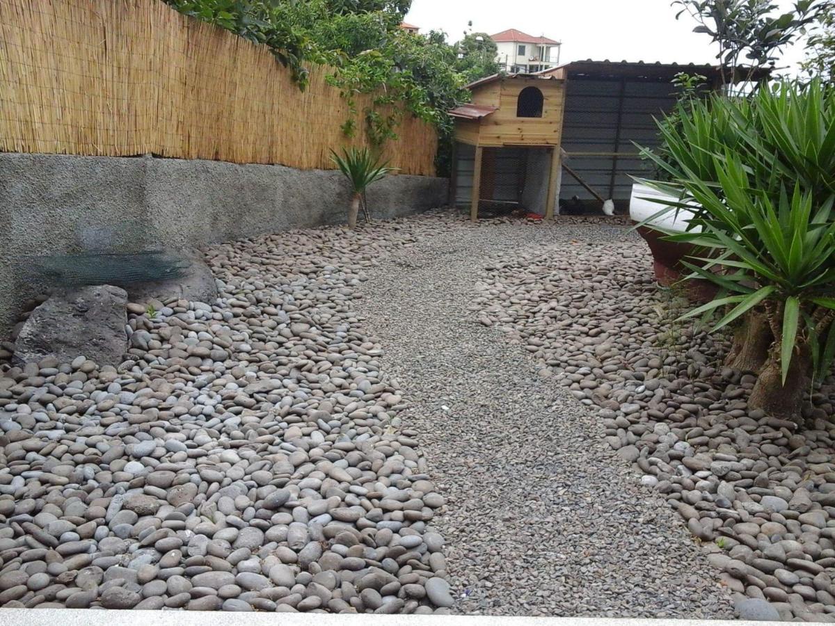 Cottage Quinze, Contemporary Designed Cottage With Swimming Pool Ponta Delgada  Kültér fotó